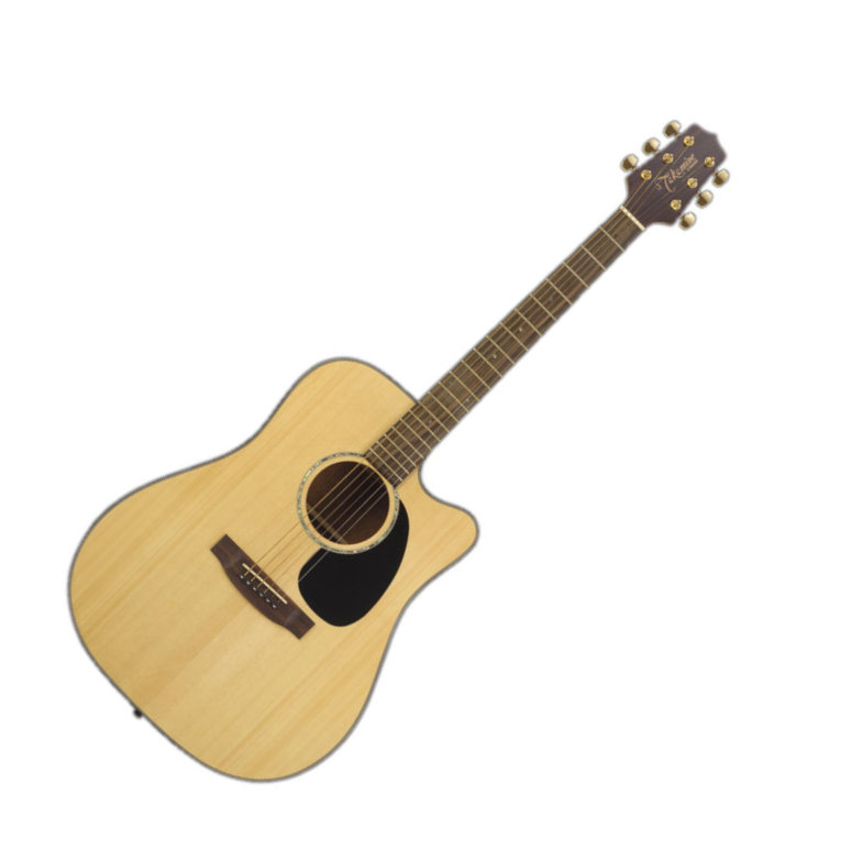 Takamine 340C