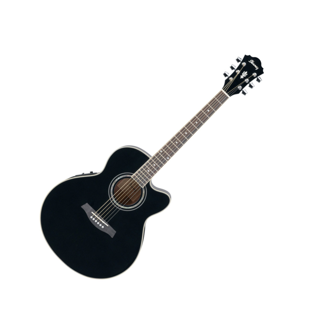 Acoustic Ibanez