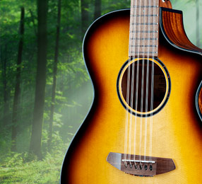 Giveaway: Win a Breedlove 12-String Guitar!