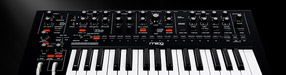 zZounds Spotlight: Moog Messenger