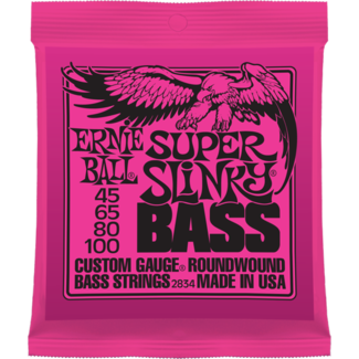 Ernie Ball P02834