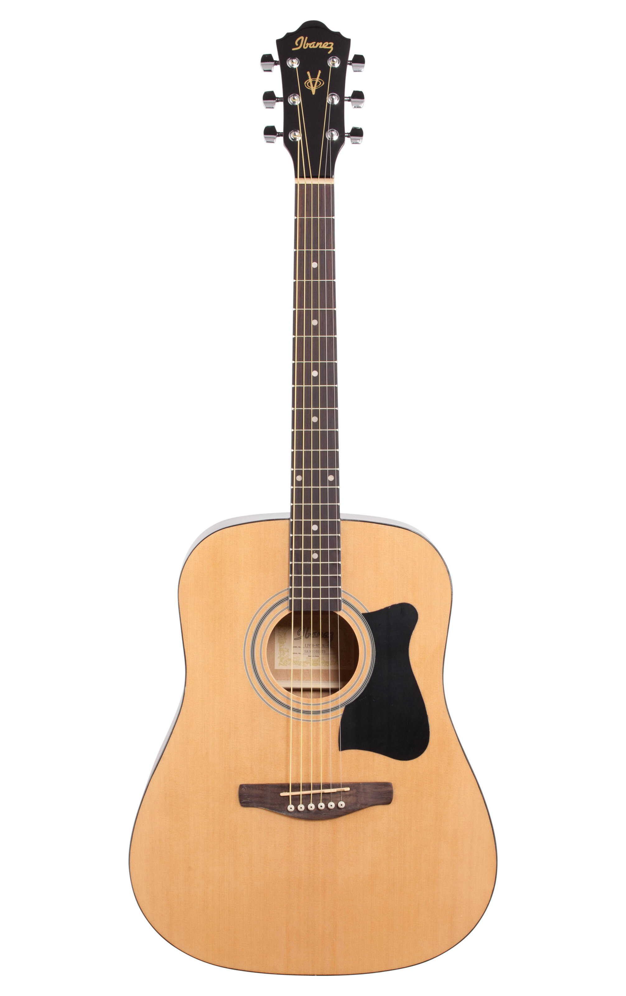 Acoustic Guitar Package Natural - Ibanez IJV50