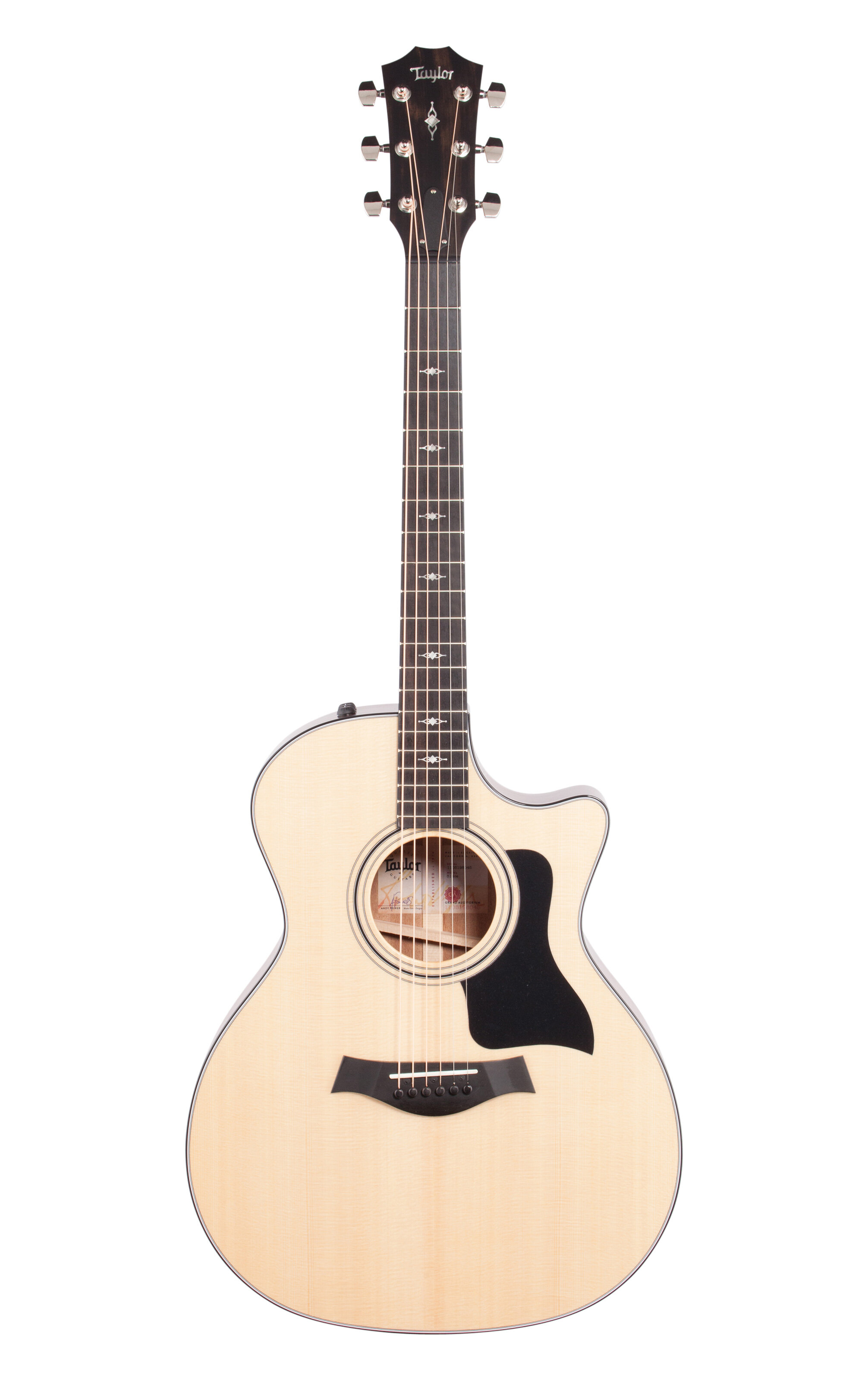 Taylor Guitars 314ce-V