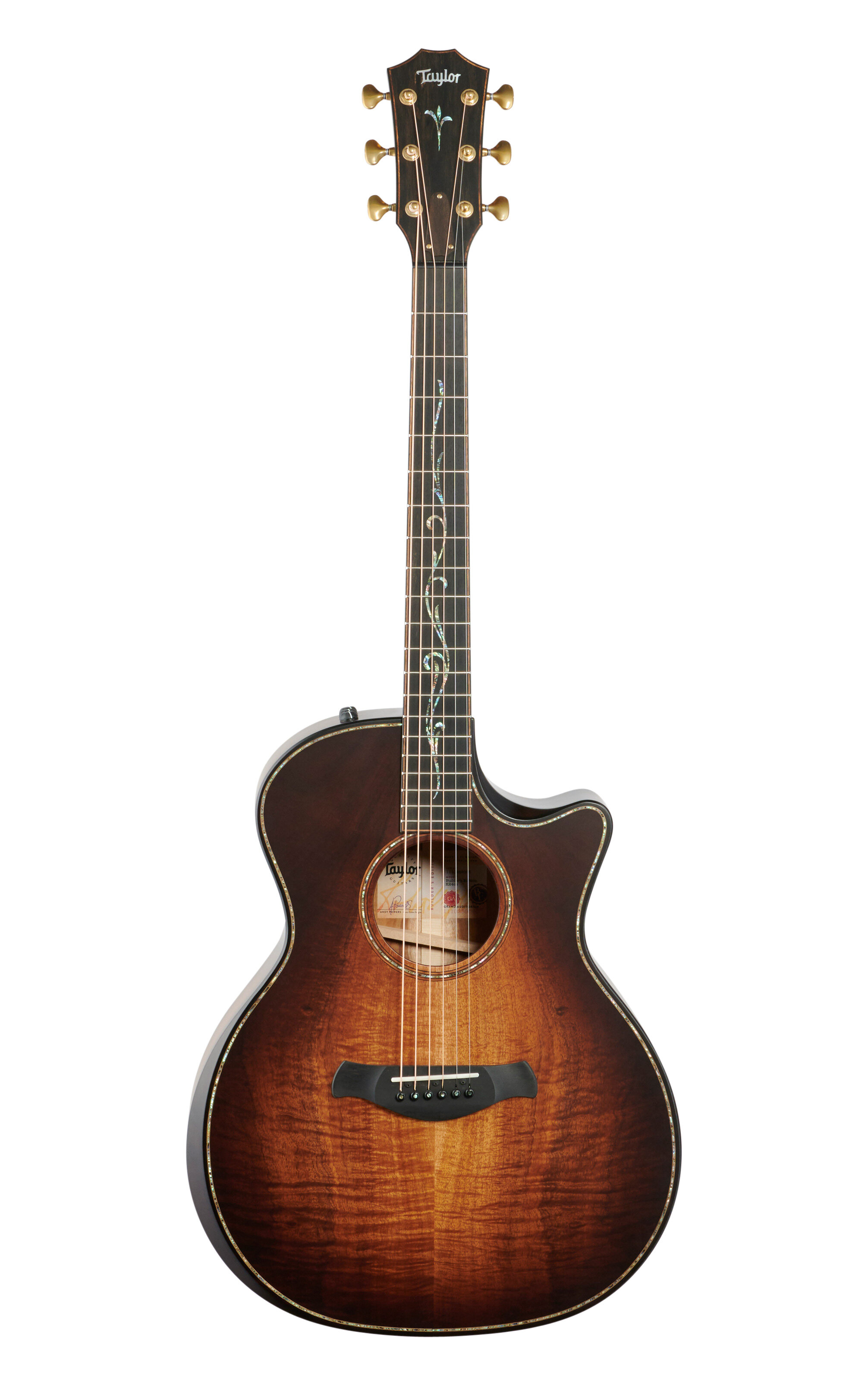 Taylor Guitars BE-K24ceV