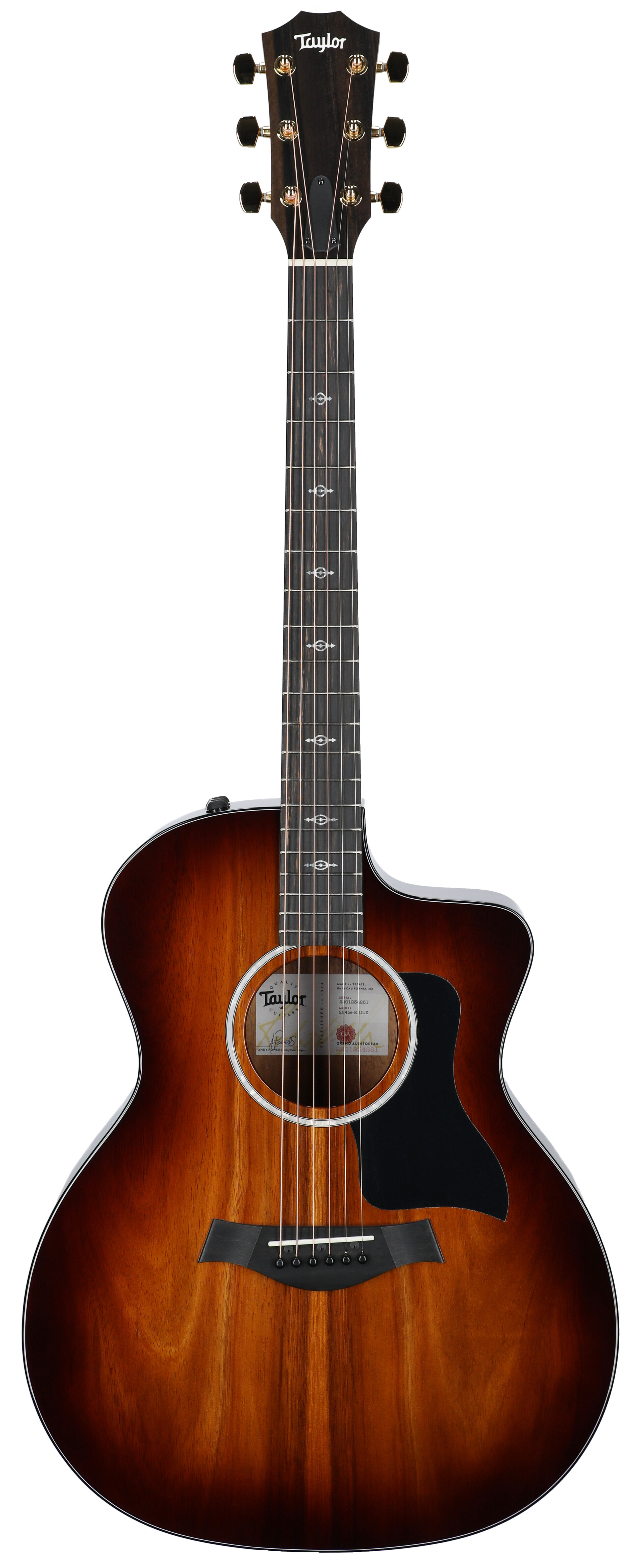 Taylor 224ce-K DLX Grand Auditorium Acoustic Elec -  Taylor Guitars, 224ce-K-DLX-24