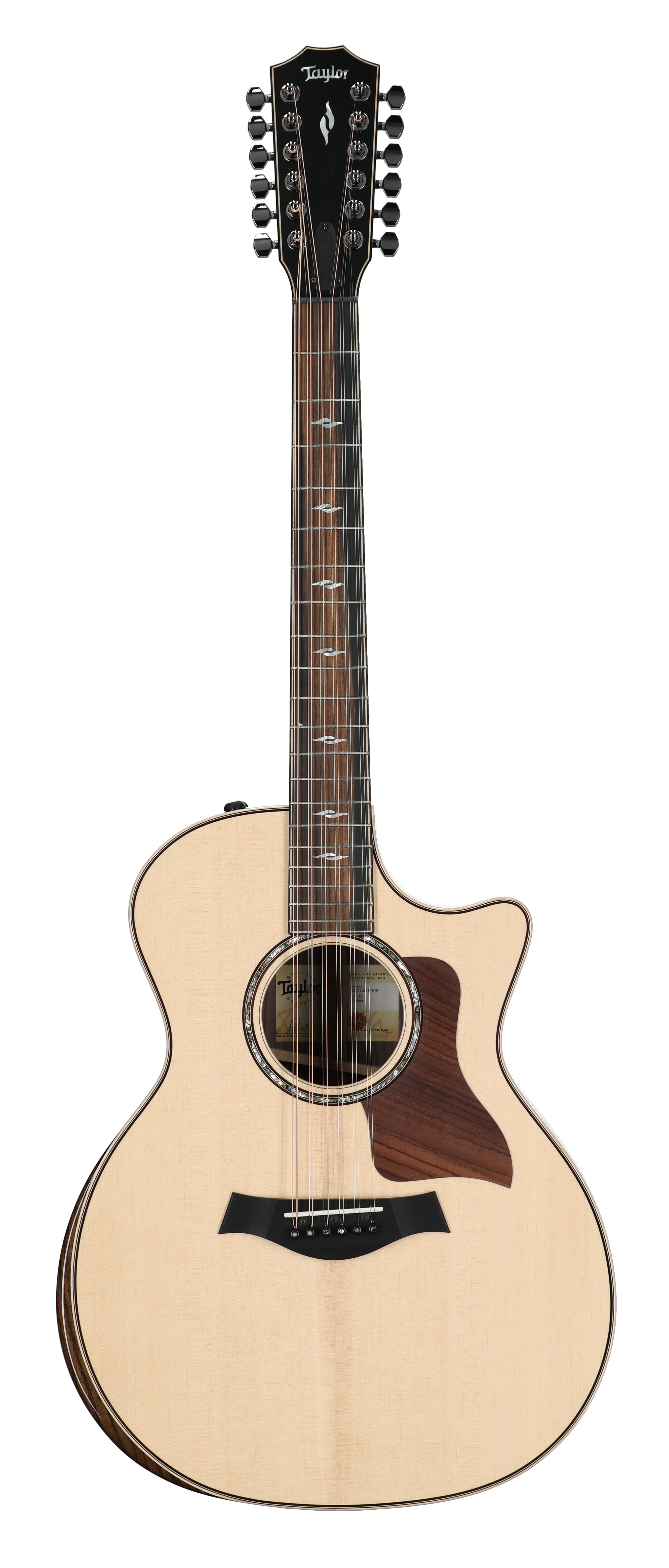 Taylor 854ce 12-String Acoustic Electric Natural