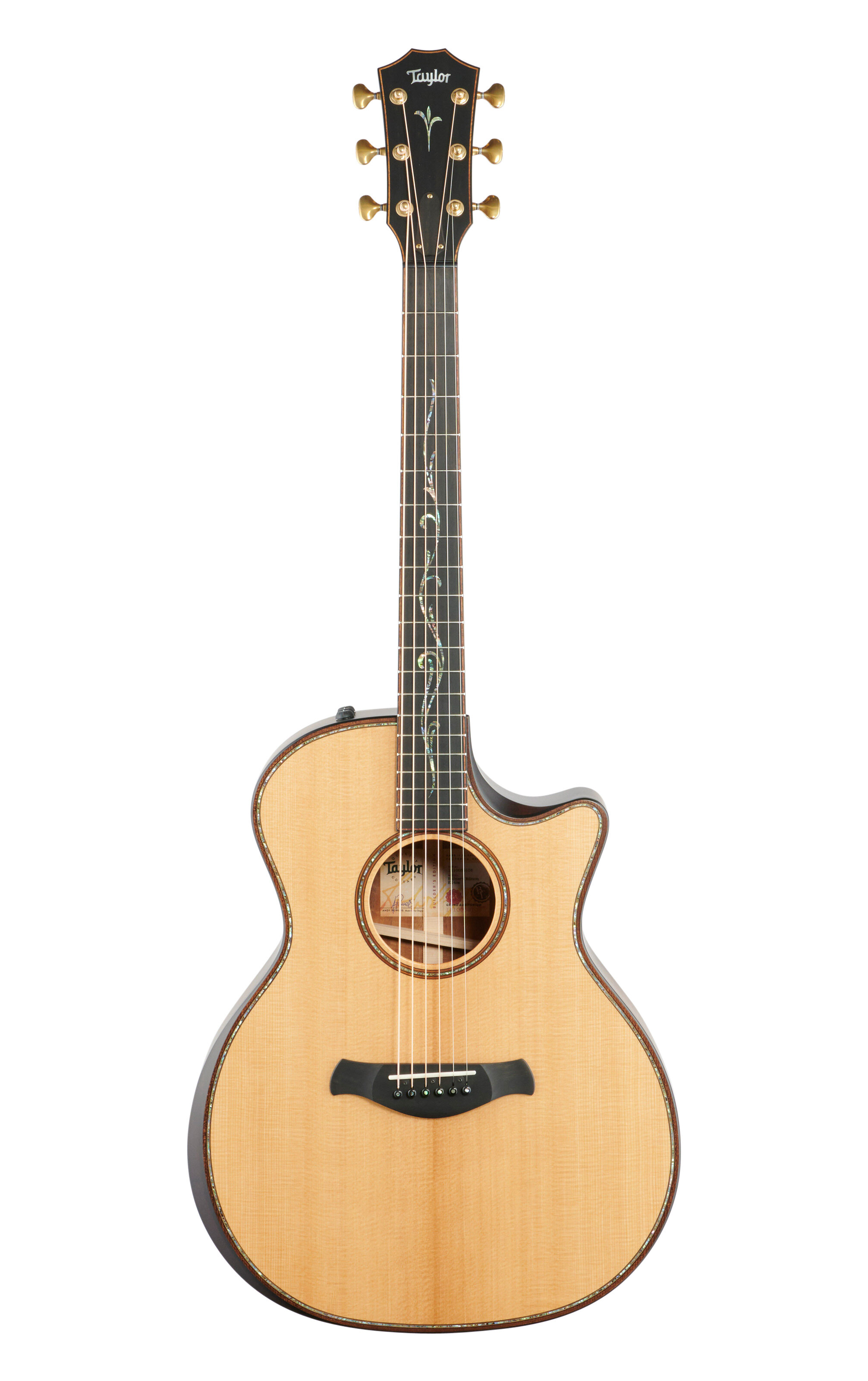 Taylor Guitars BE-K14ceV