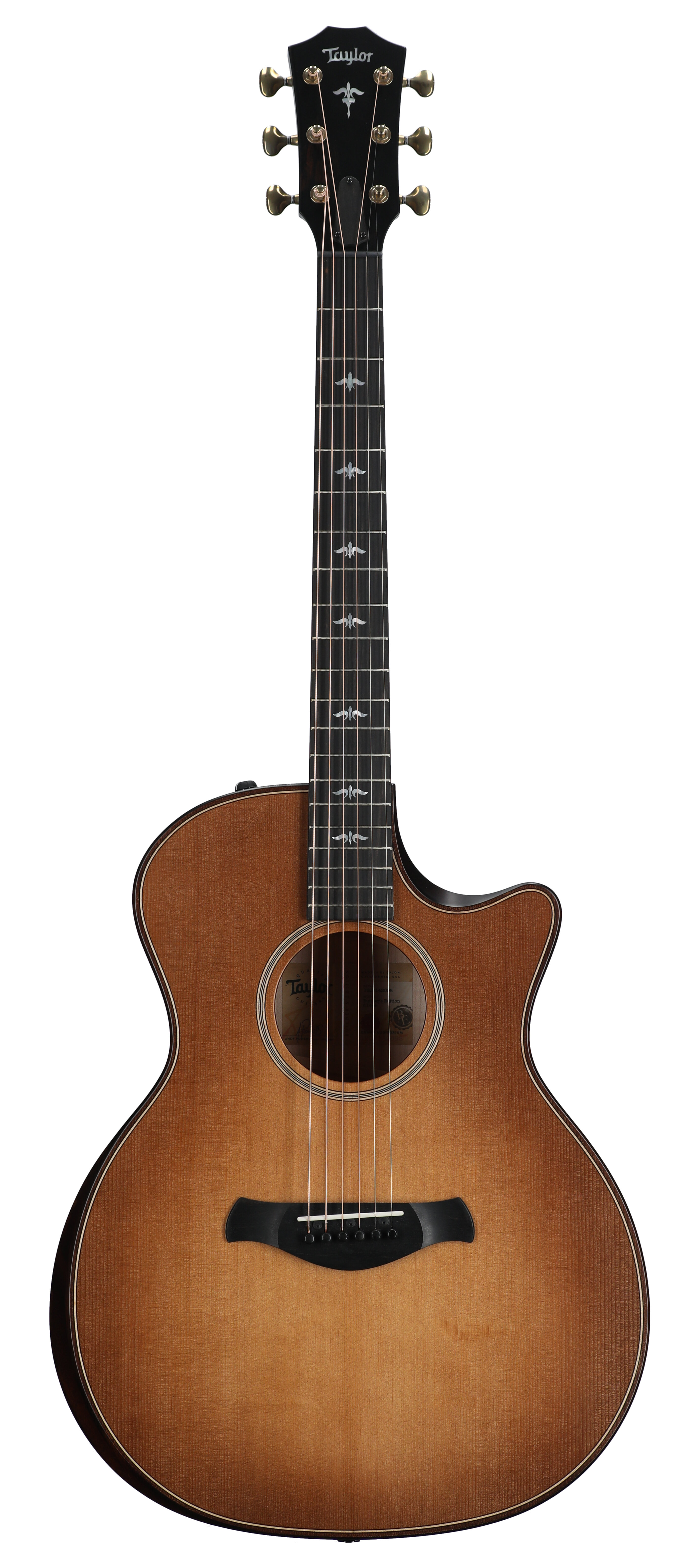 Taylor 614ce Builders Edition V Class G/A WHB -  Taylor Guitars, BE 614ce-WHB-2019