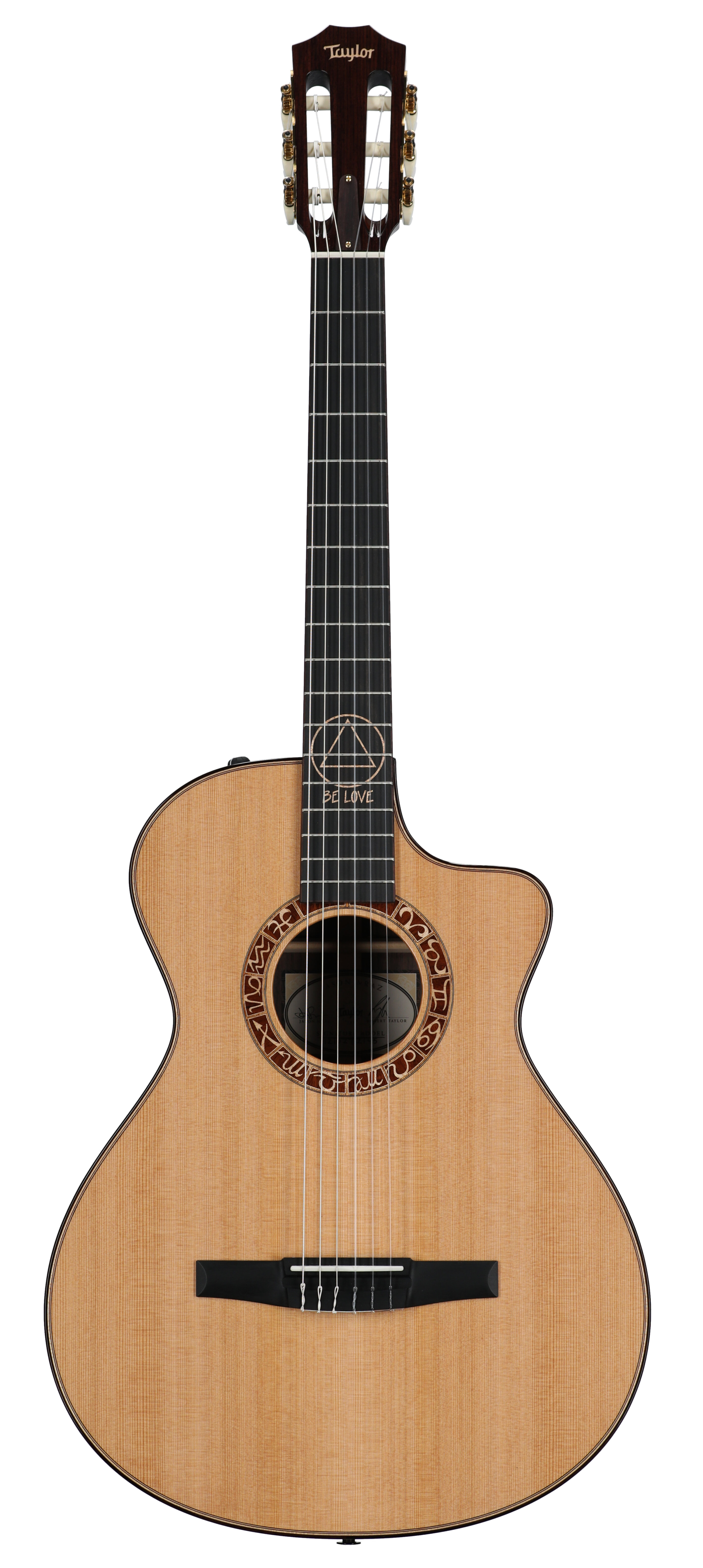 Taylor Guitars JMSM