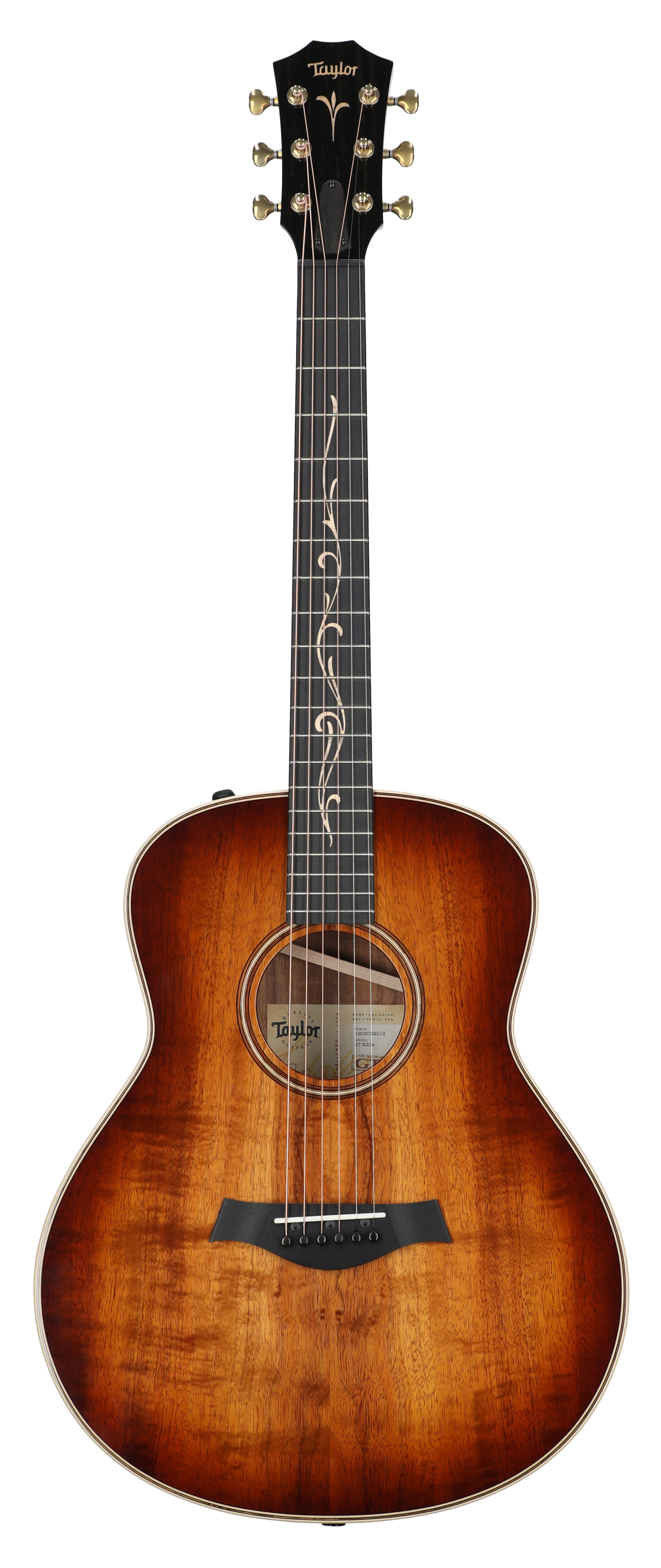 Taylor GT K21e Acoustic Electric Guitar with Case -  Taylor Guitars