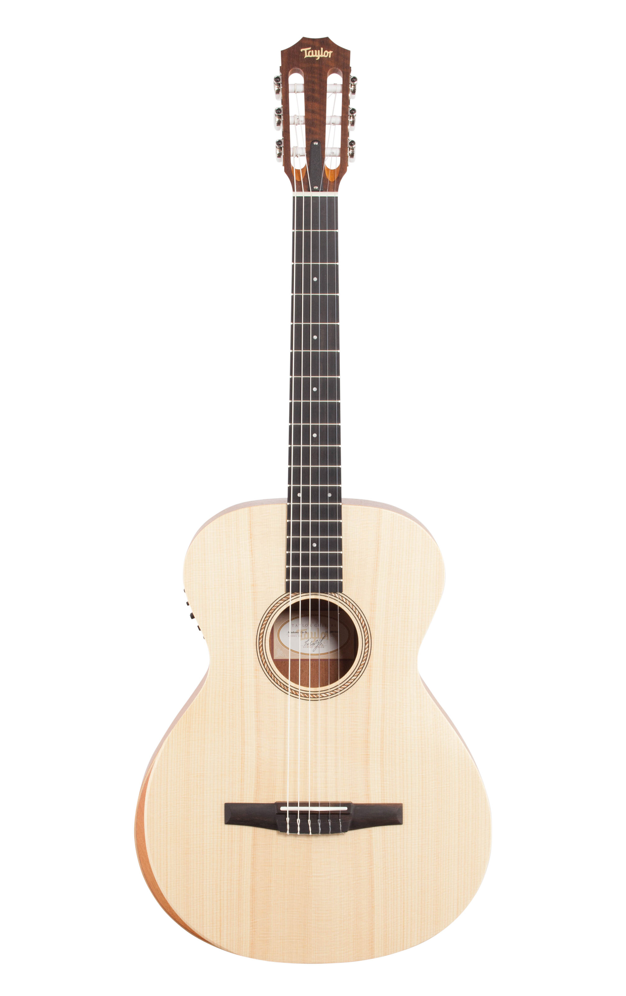 Taylor Guitars A12e-N