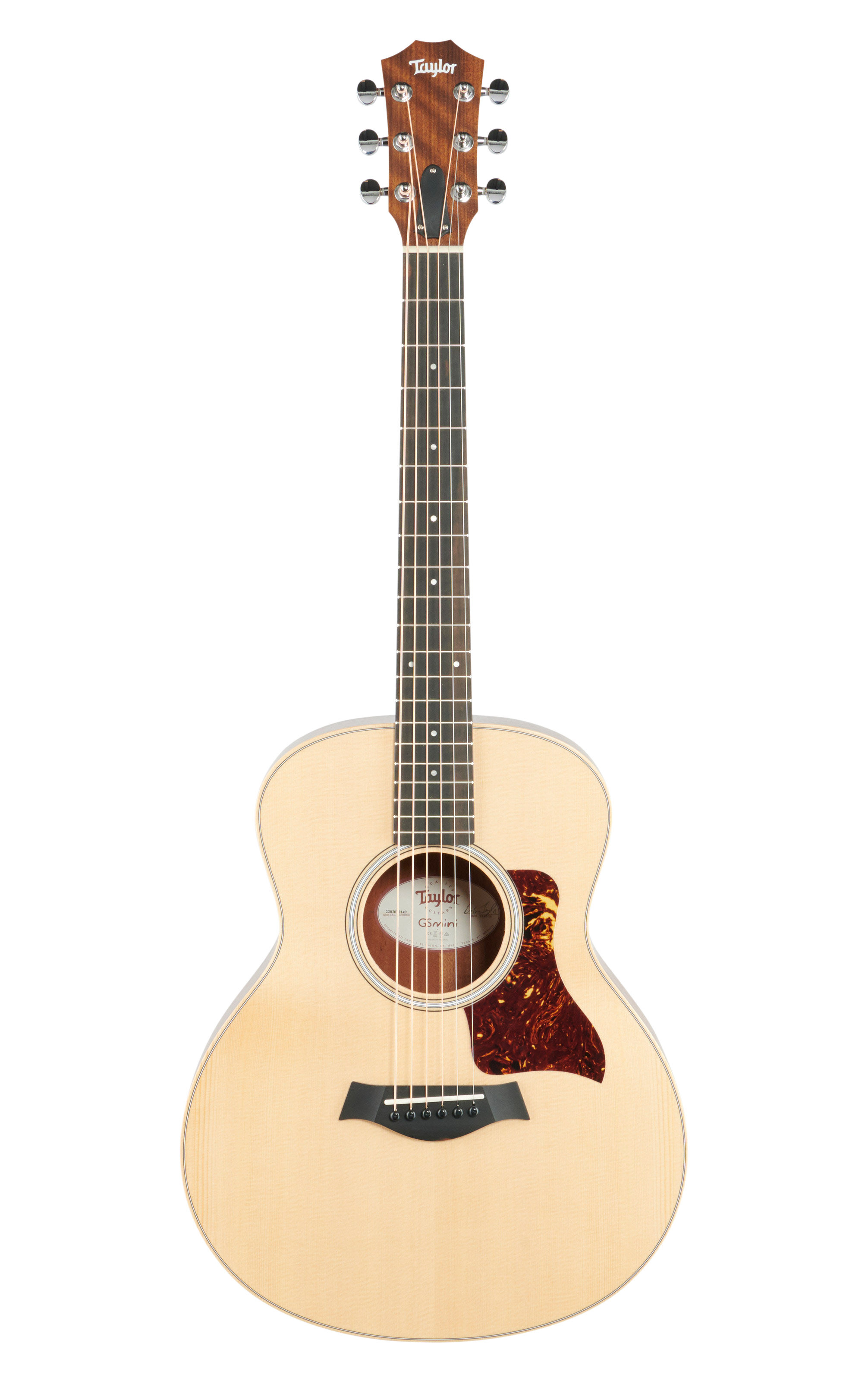 Taylor Guitars GS Mini-RW-2022