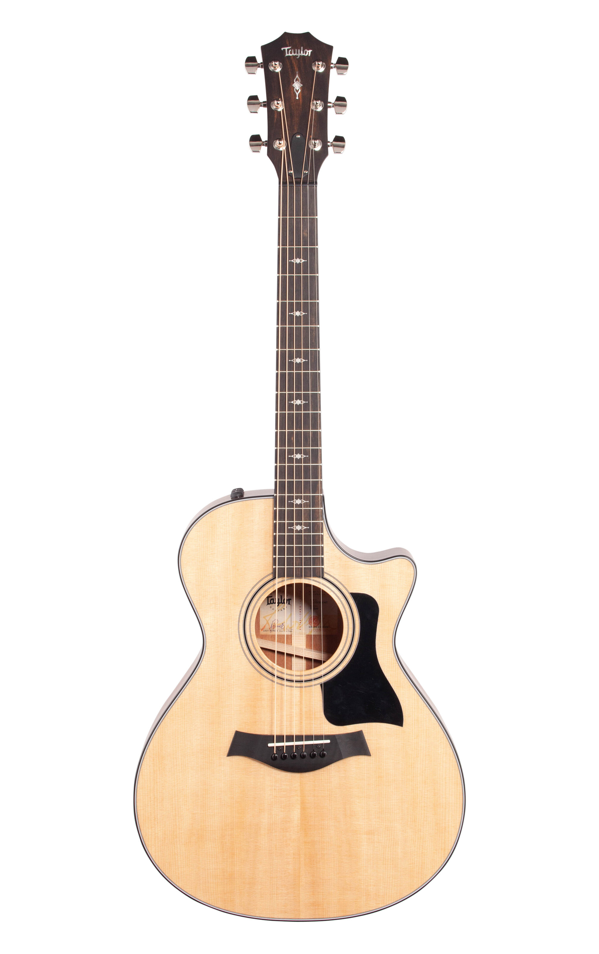 Taylor Guitars 312ce-2019
