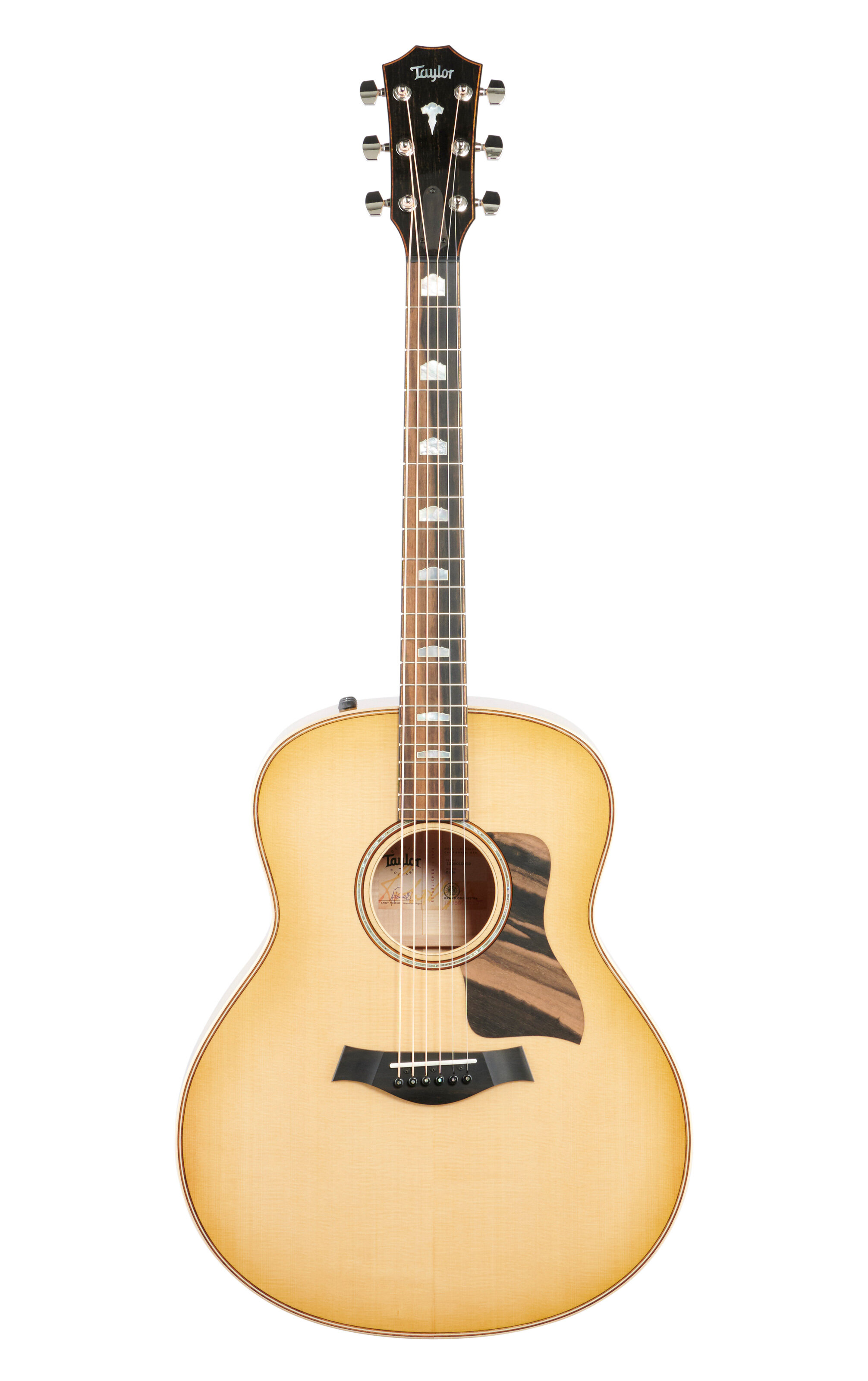 Taylor Guitars 618e-V