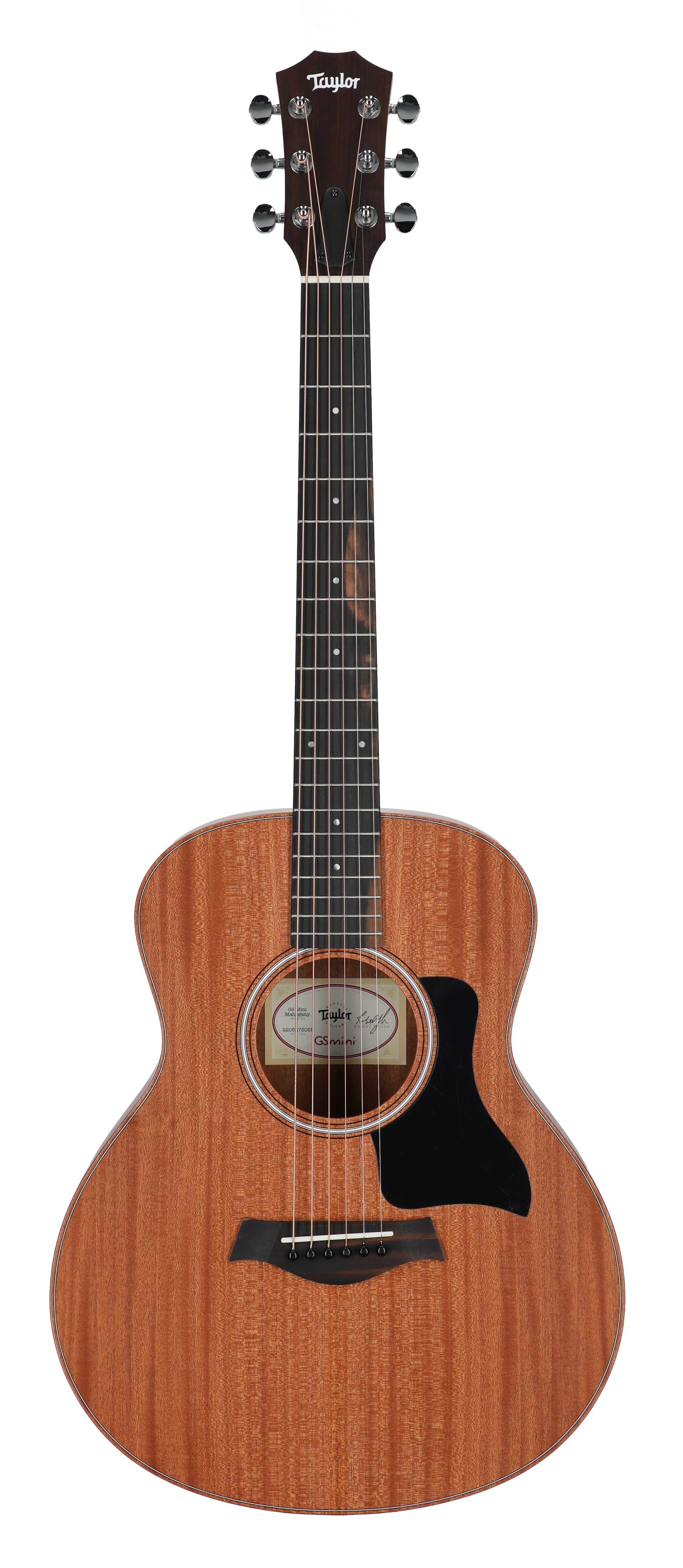 Taylor GS Mini Mahogany w/Bag
