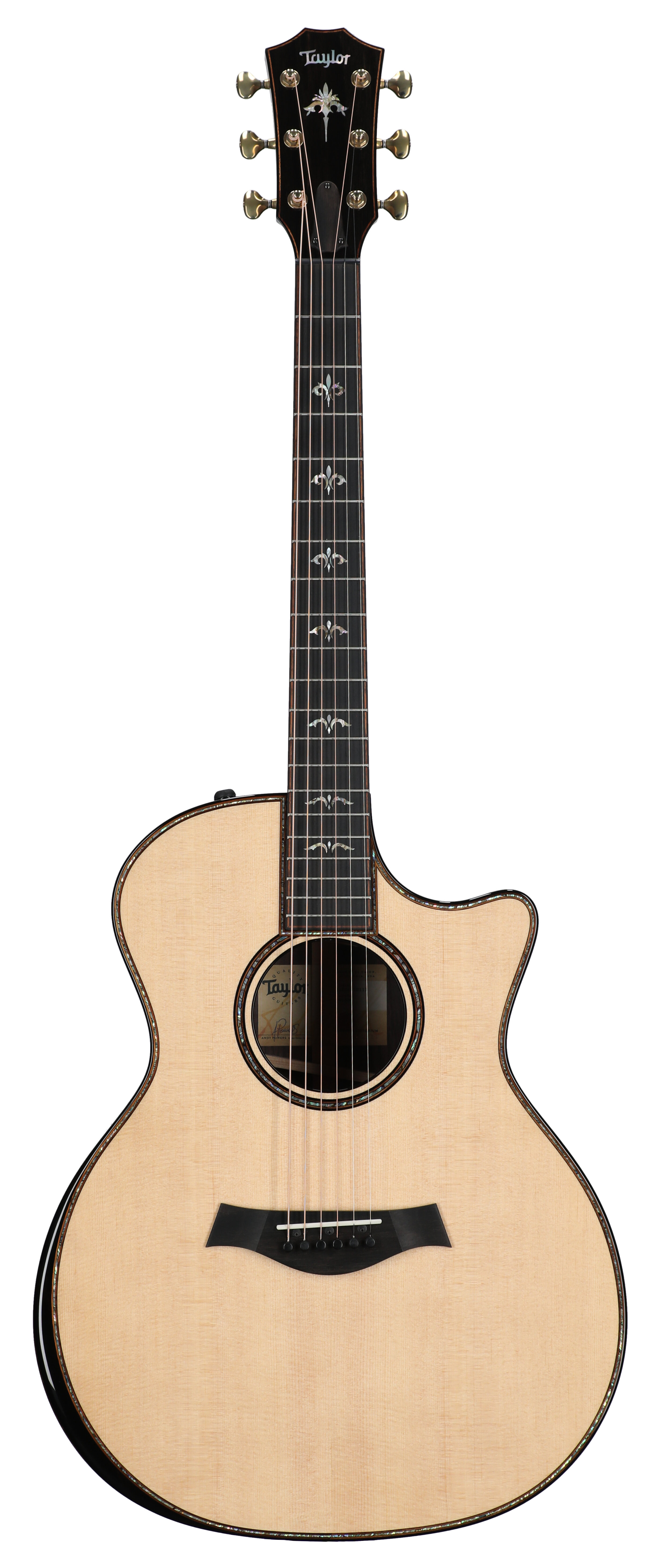 Taylor 914ceV GA Acoustic Electric with Case -  Taylor Guitars, 914ce-2020