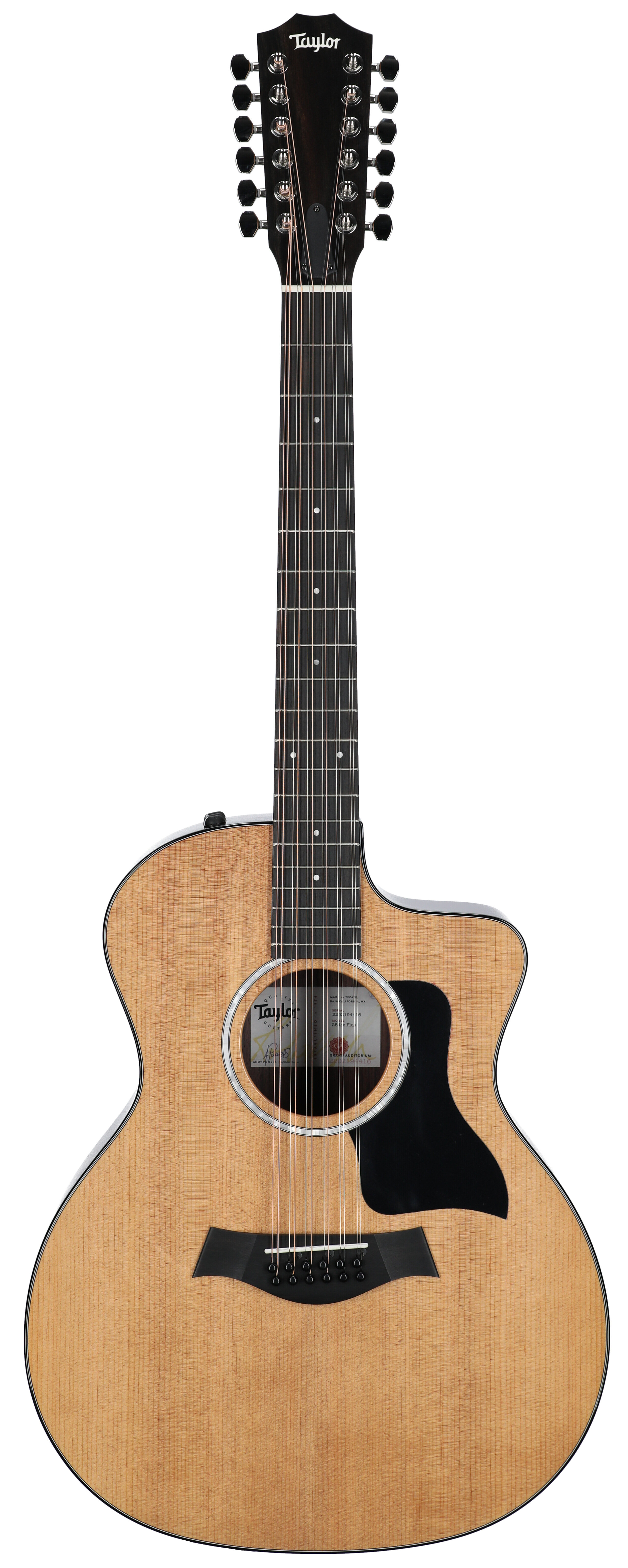 Taylor 254ce Plus 12 String Grand Auditorium A/E