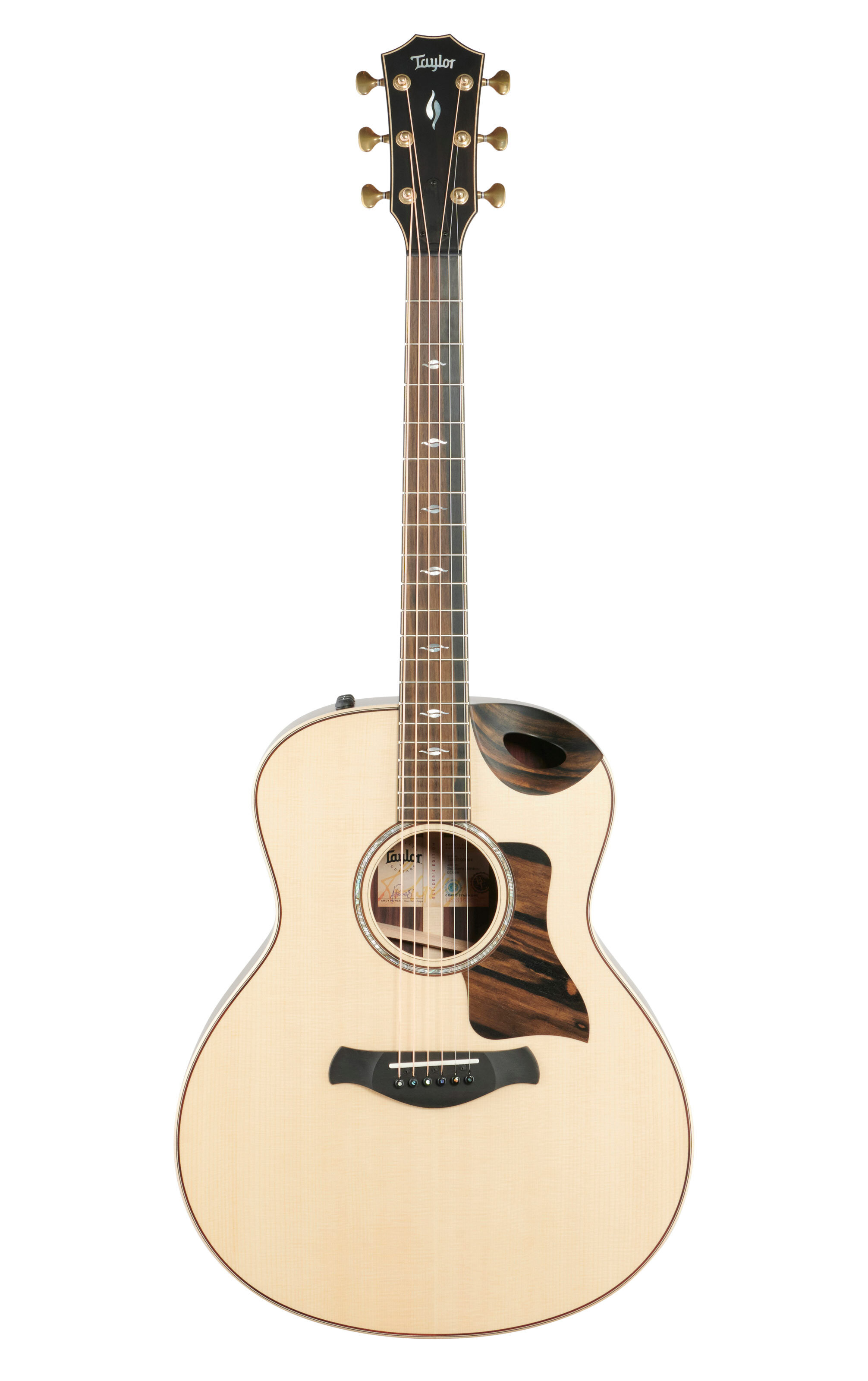 Taylor Builders Edition 816ce Grand Symphony AE -  Taylor Guitars, BE 816ce