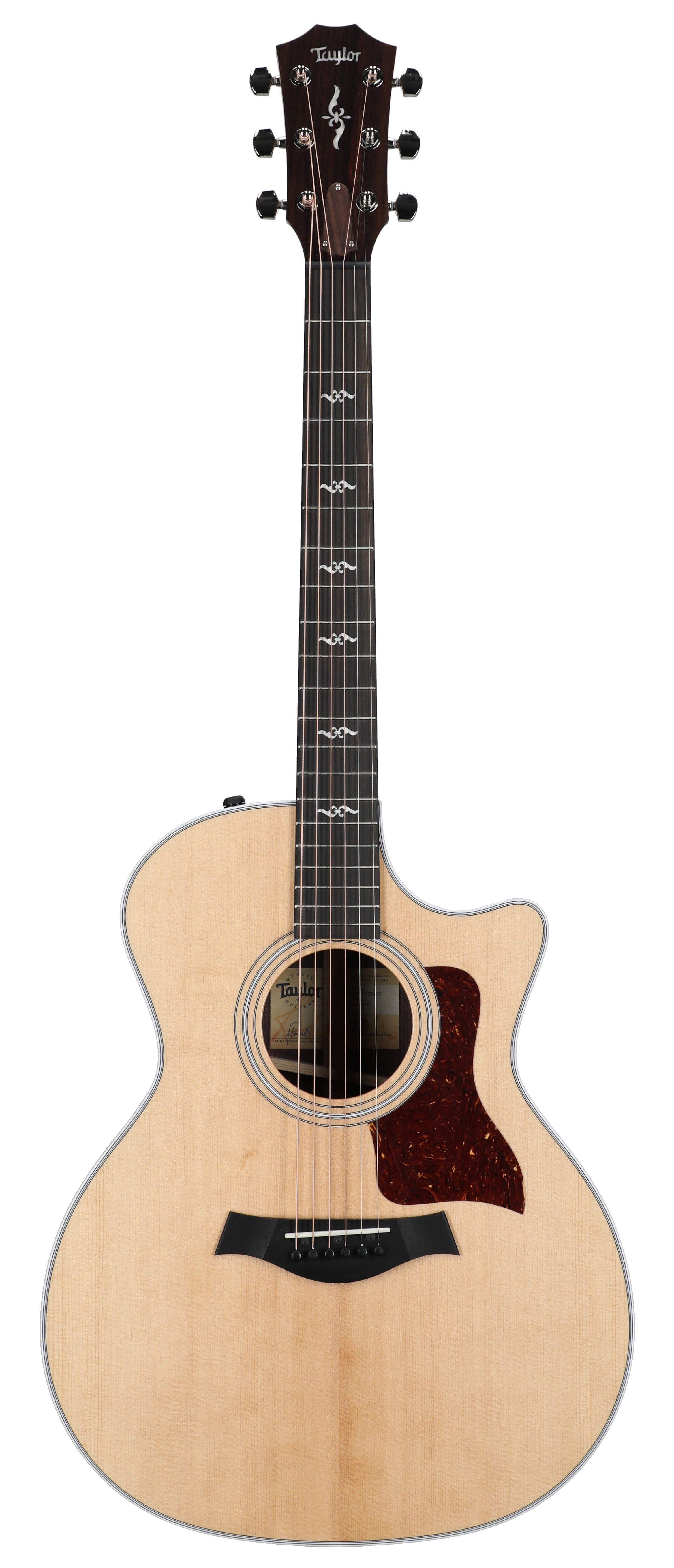 Taylor Guitars 414ce-R-V