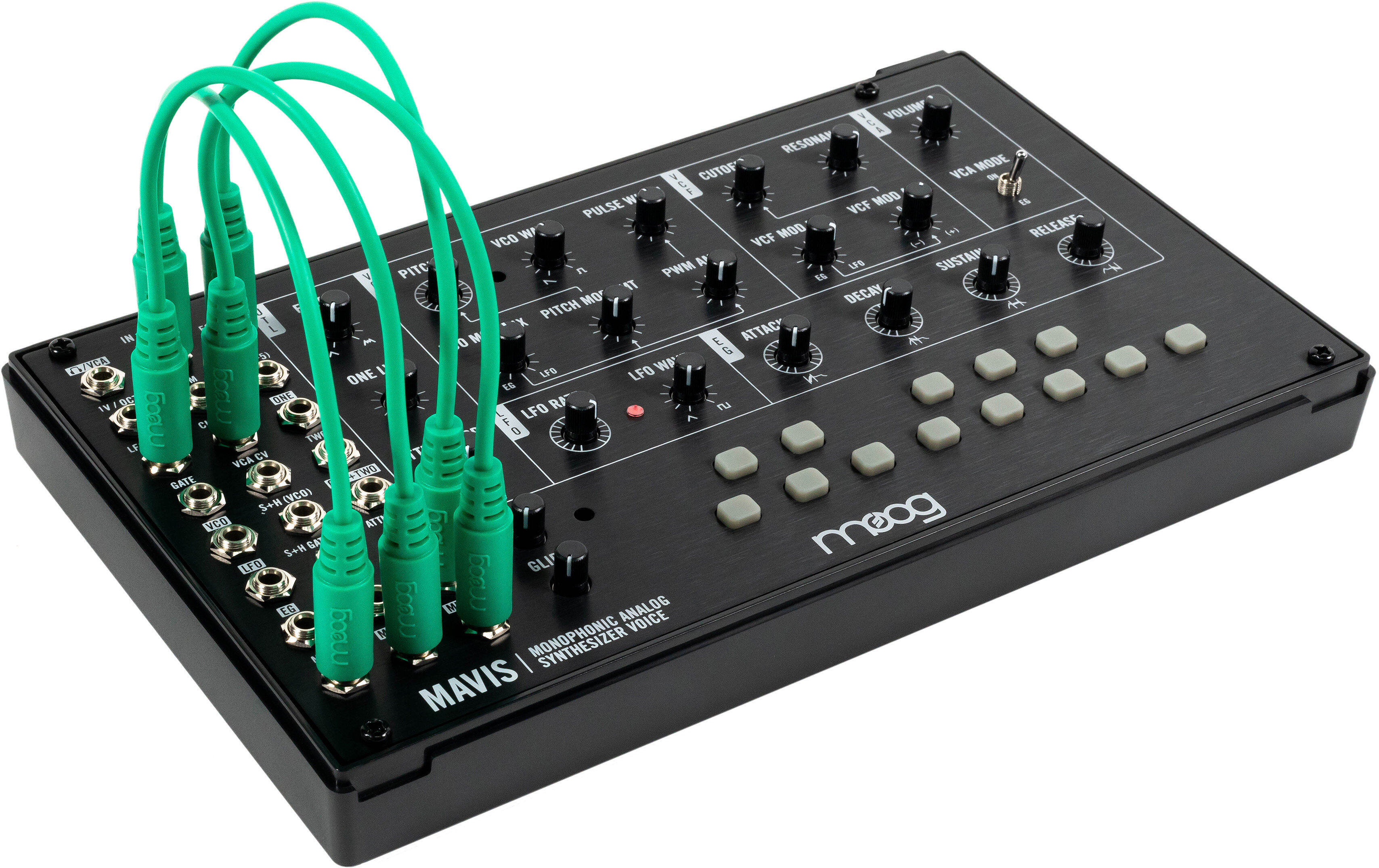 Moog Mavis Desktop Analog Synthesizer