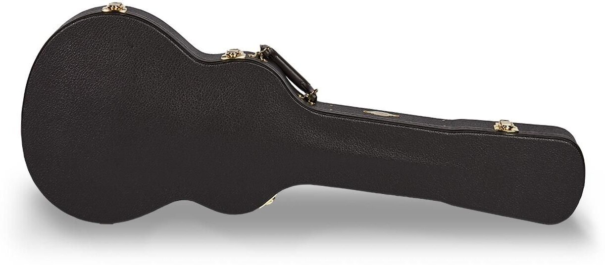 Taylor 86147 Brown Deluxe Case T5z