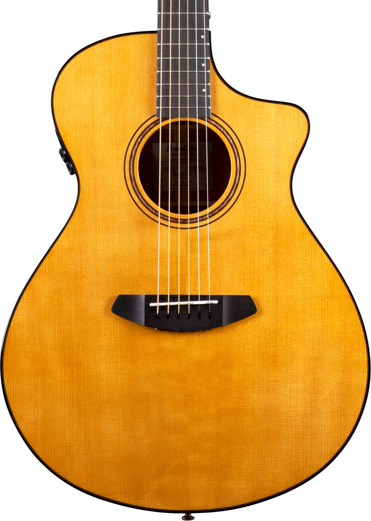 Breedlove PFCN18CEEUIR