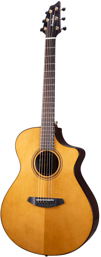 Breedlove PFCNs18CEEUIR