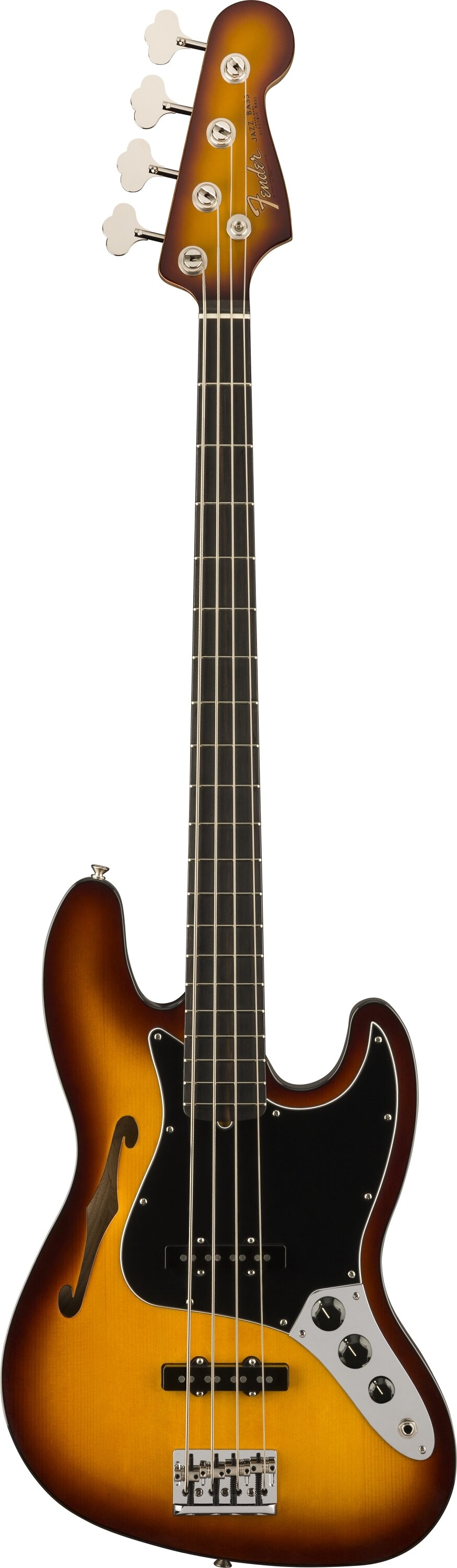 Fender 0170291830