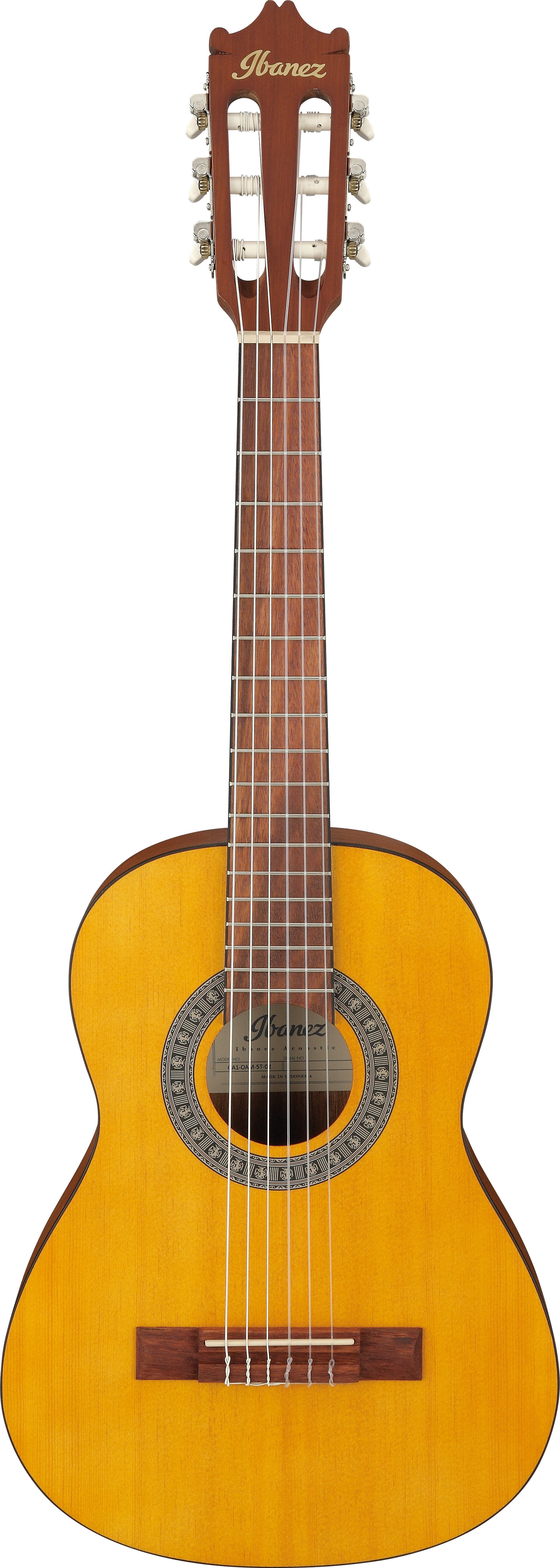 Ibanez GA1OAM