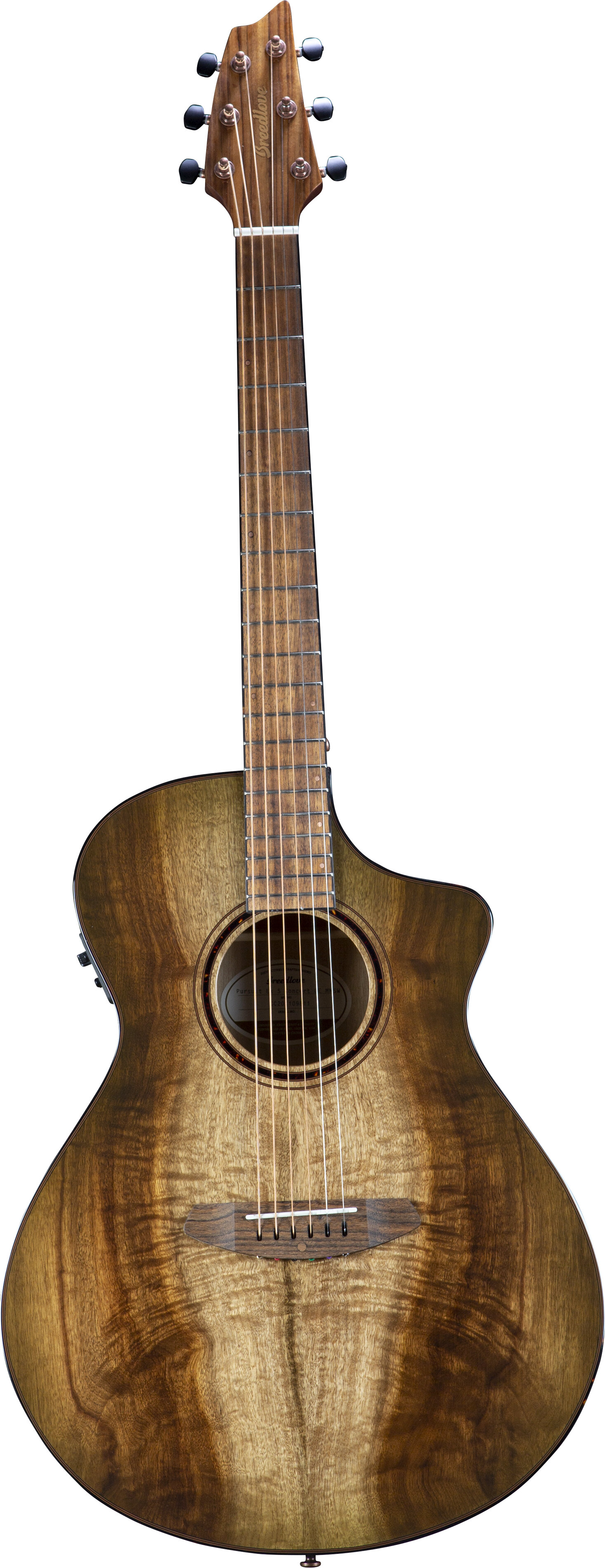 Breedlove PSCN41CEMYMY