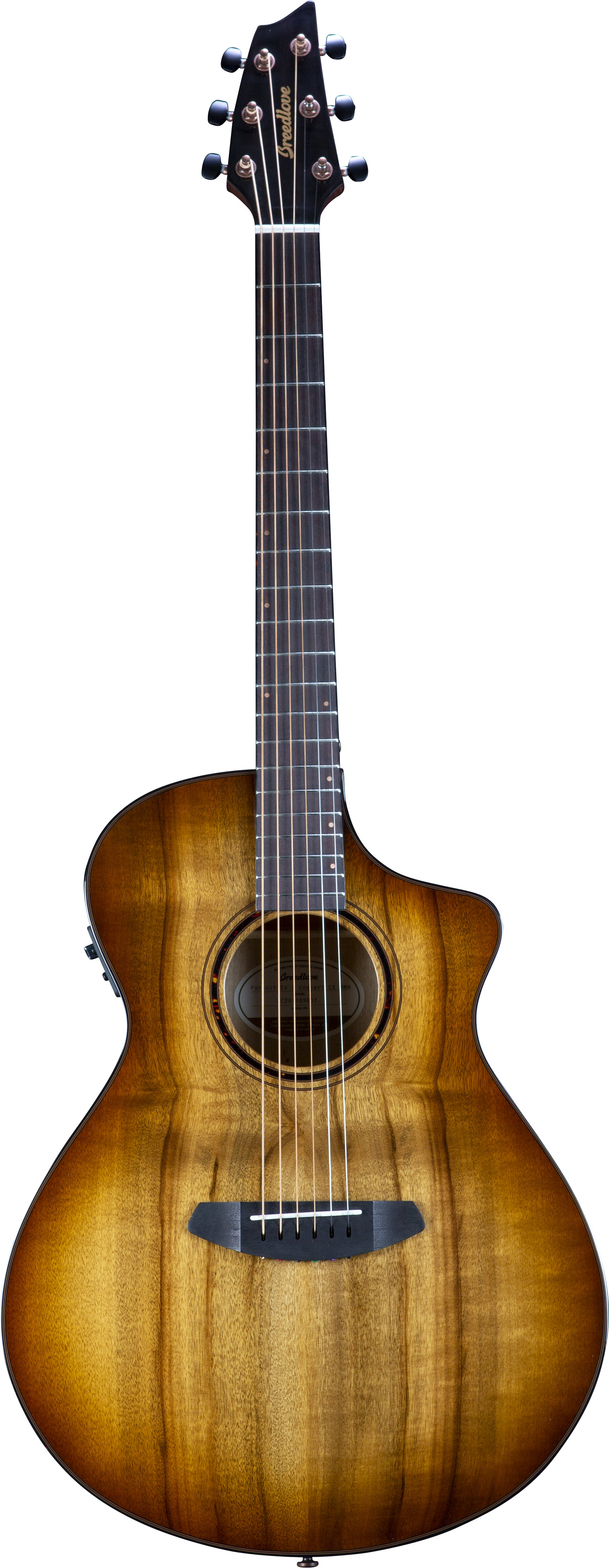 Breedlove PSCN49CEMYMY