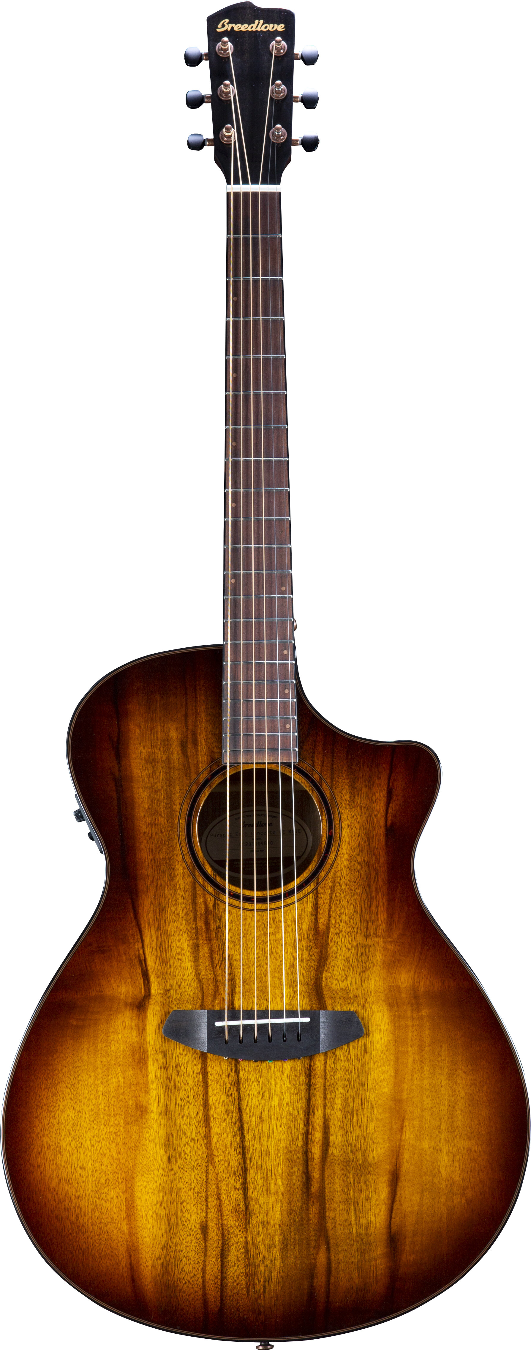 Breedlove PSCO42CEMYMY