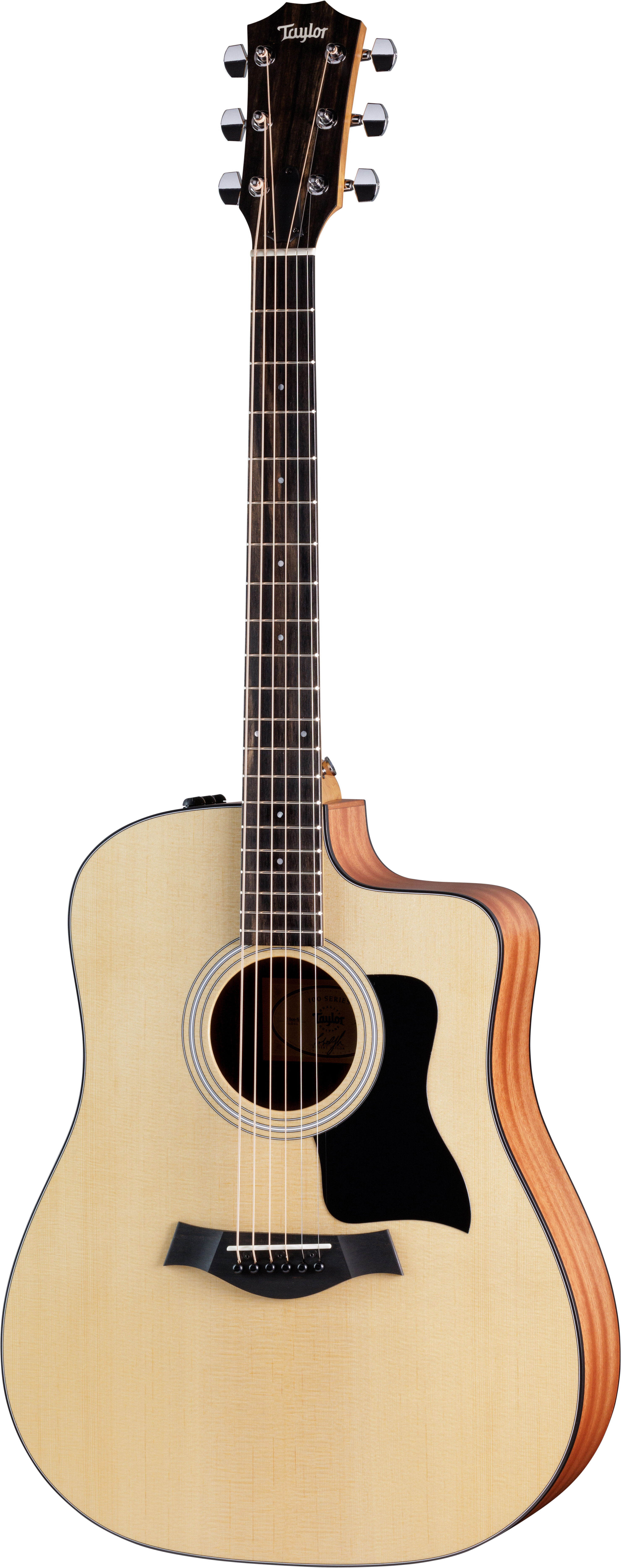 Taylor Guitars 110ce-24