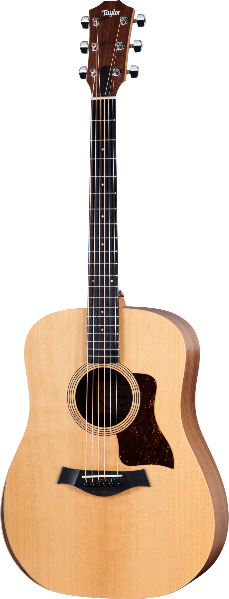 Taylor Academy 10 Dreadnought Acoustic Guitar -  Taylor Guitars, Academy10-24