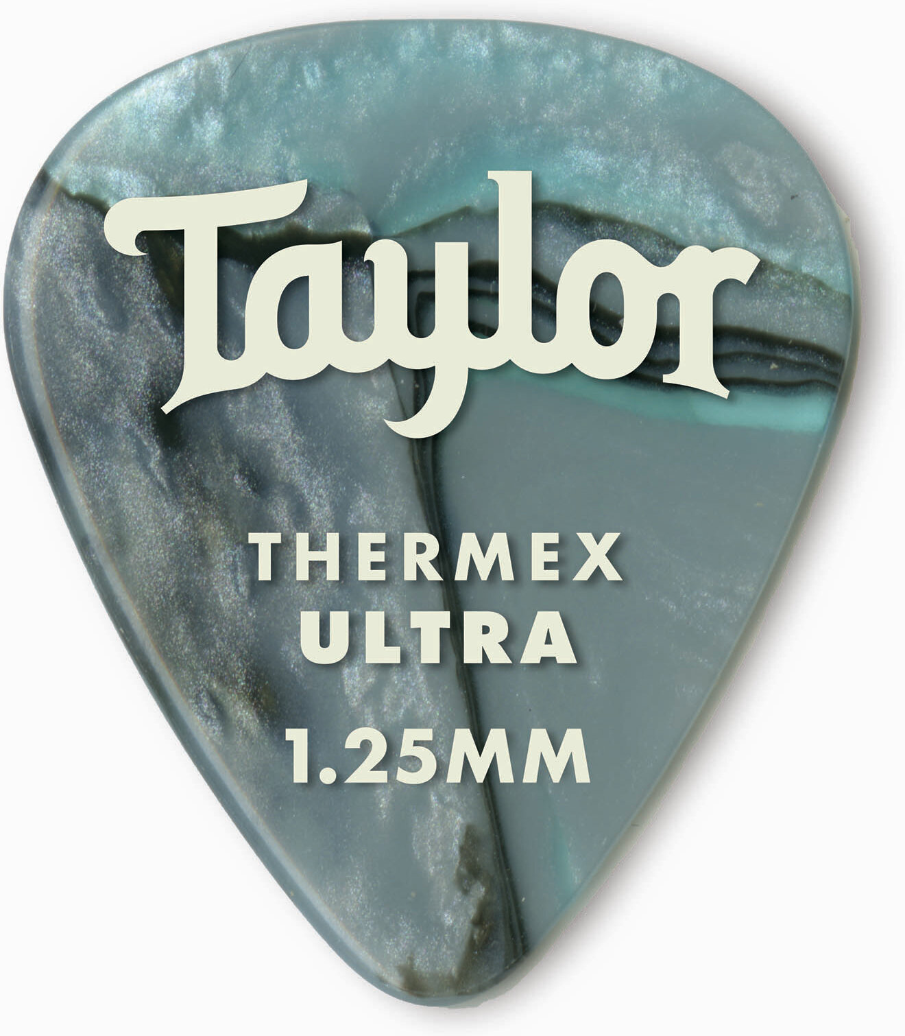 Taylor Guitars 80739