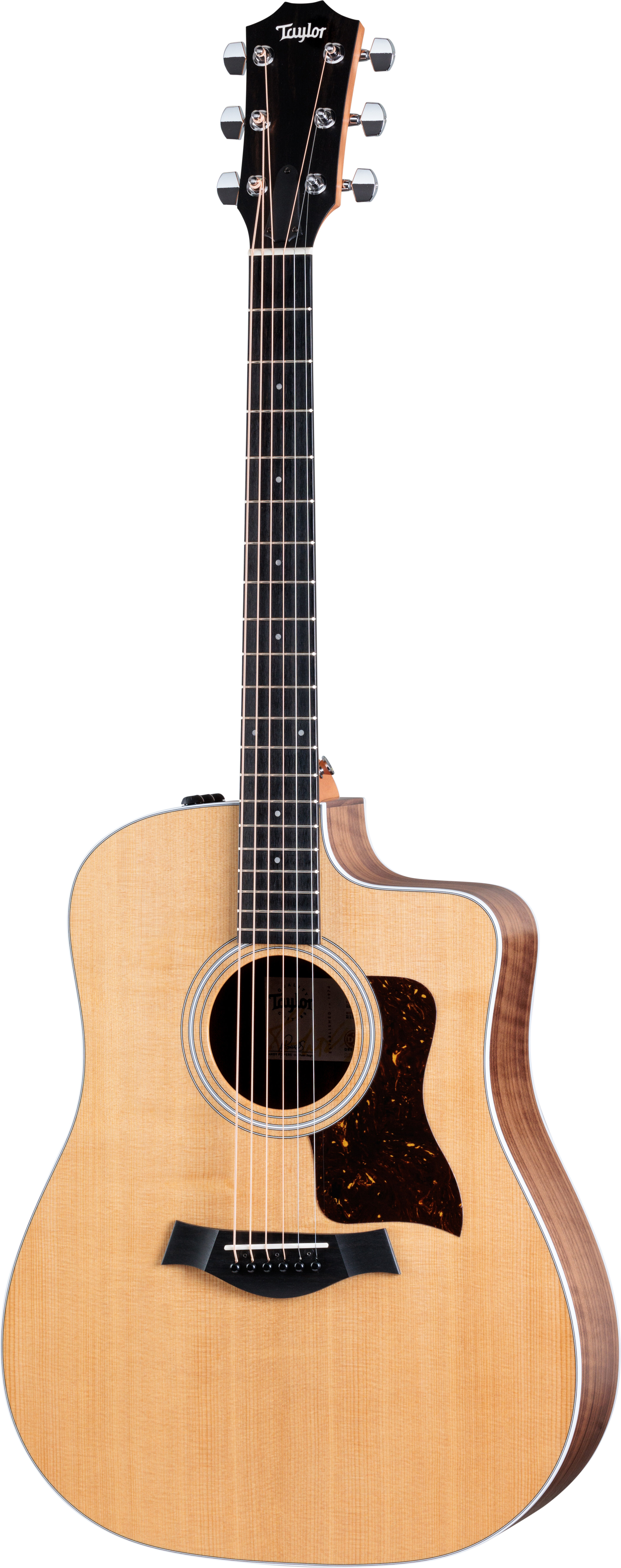 Taylor Guitars 210ce-24