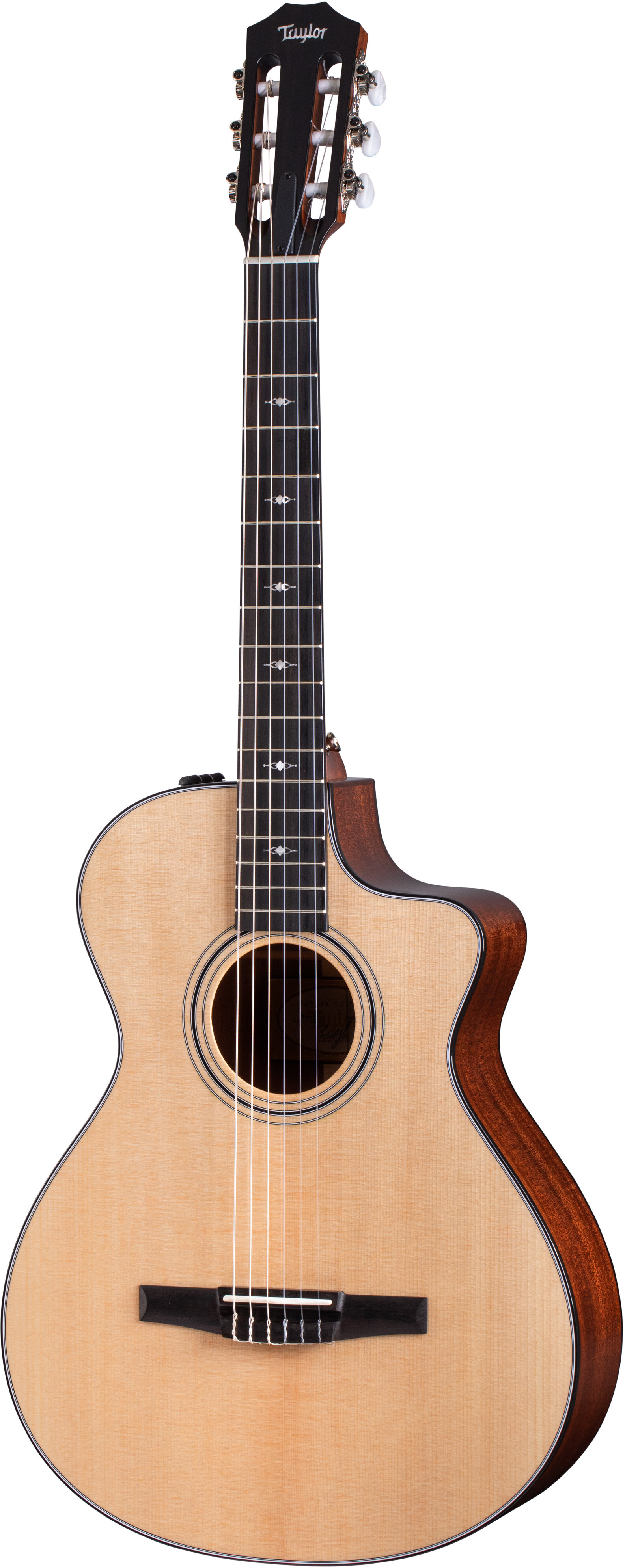 Taylor Guitars 312ce-N-22