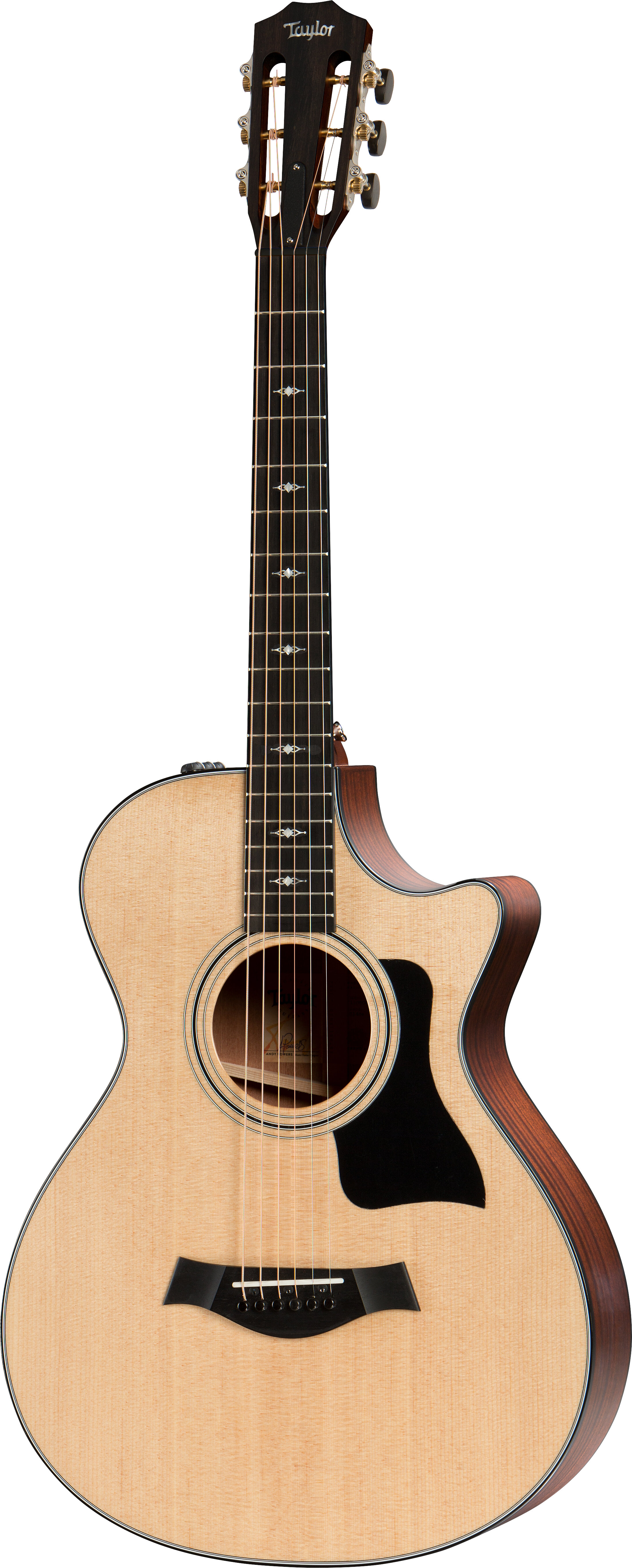 Taylor Guitars 312ce-12F-22