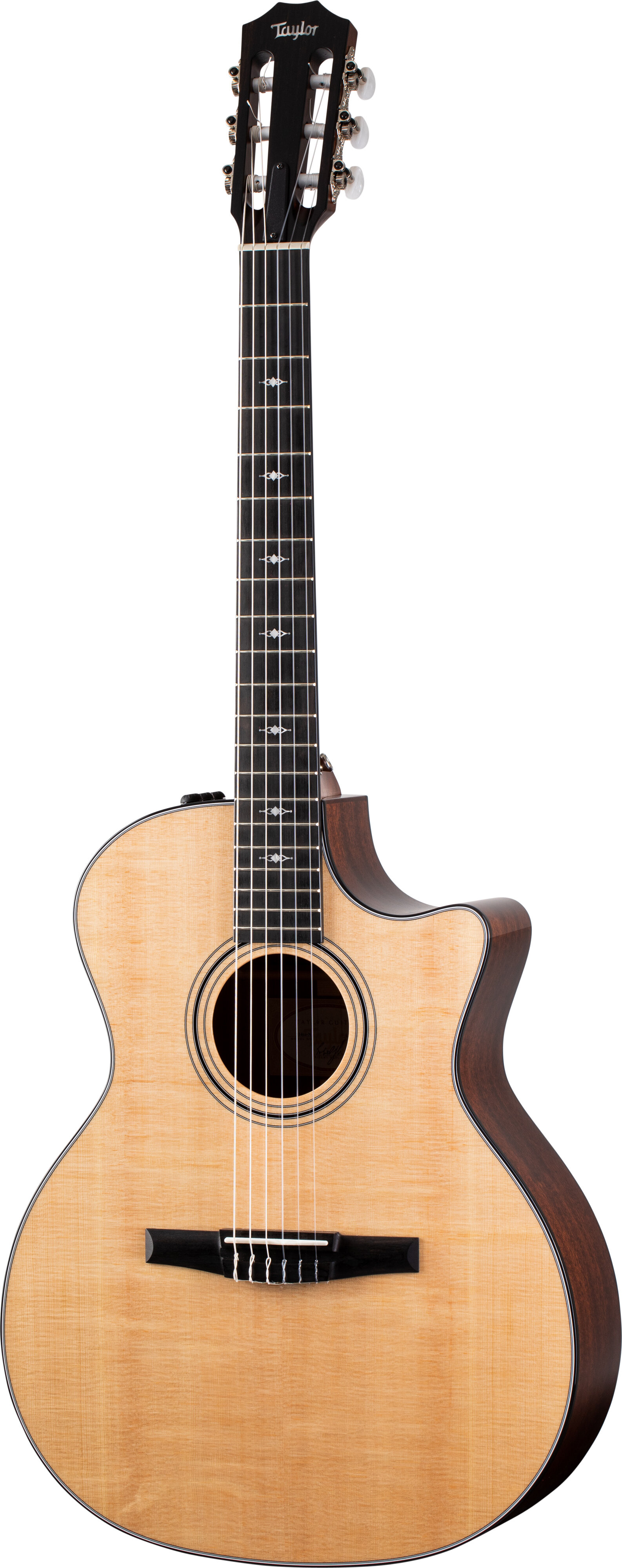 Taylor Guitars 314ce-N-22