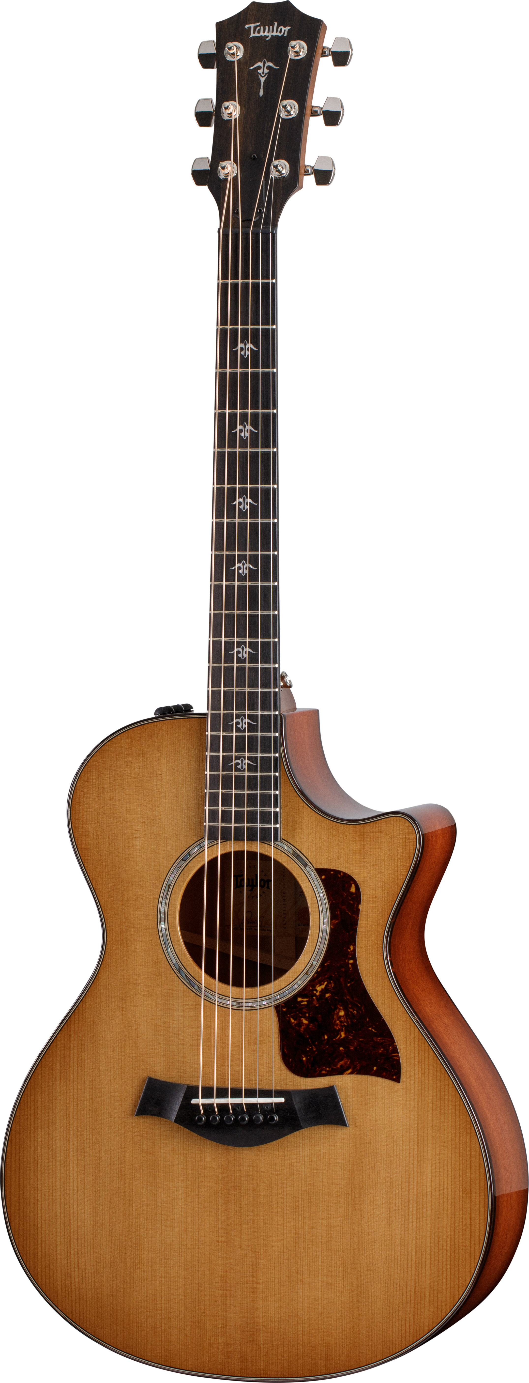 Taylor Guitars 512ce-22