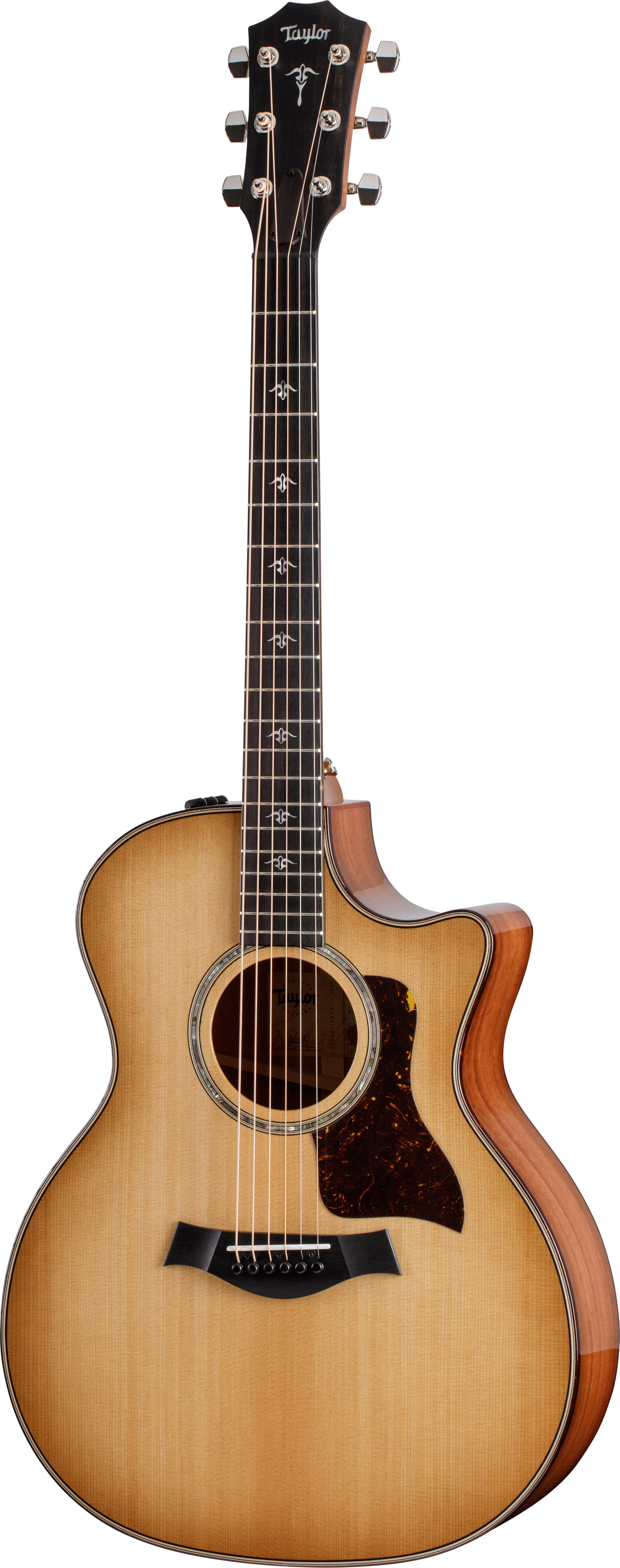 Taylor Guitars 514ce-22