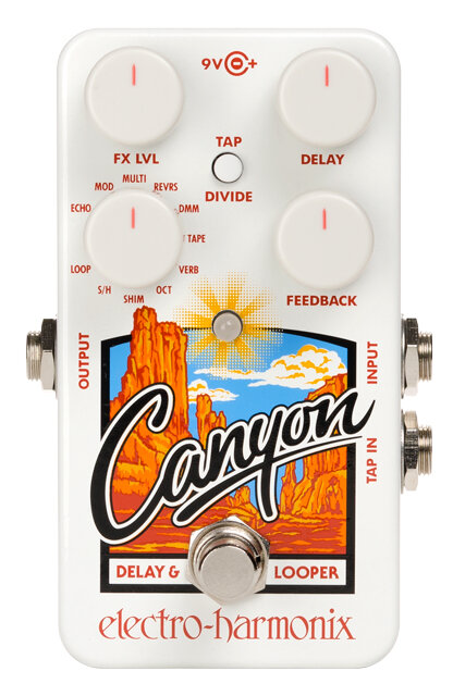 Electro Harmonix Canyon Delay and Looper