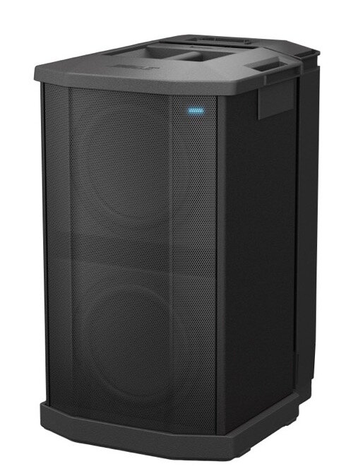 Bose F1 Subwoofer