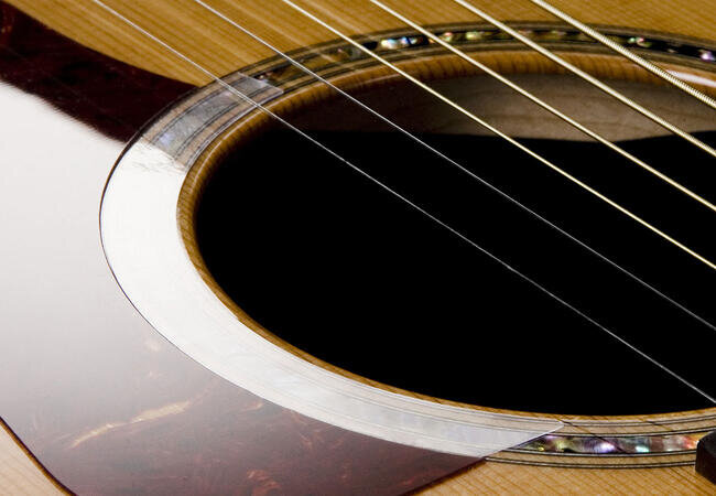 Taylor Guitars 80292
